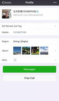 吃瓜小分队6,揭秘娱乐圈背后的秘密与真相