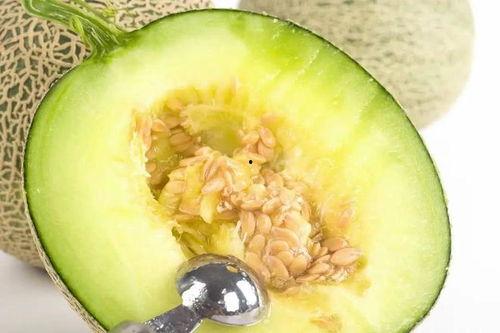 网纹吃瓜,探寻夏日消暑新宠