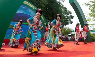 吃瓜群众舞蹈,潮流新宠，全民狂欢的舞蹈盛宴